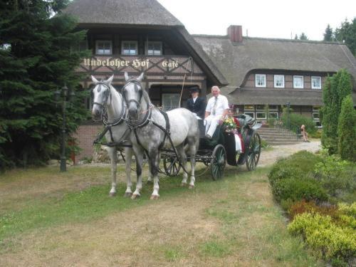 Undeloher Hof Екстериор снимка